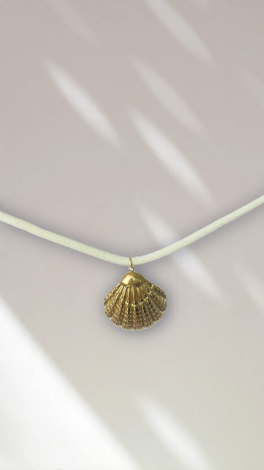 Collier coquillages