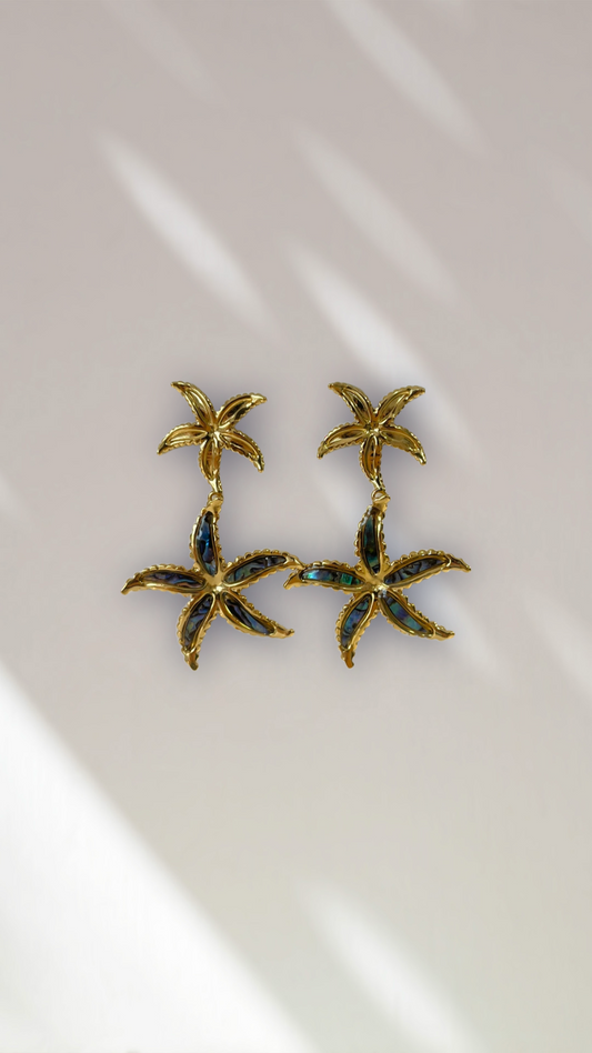 Boucles étoiles de mer