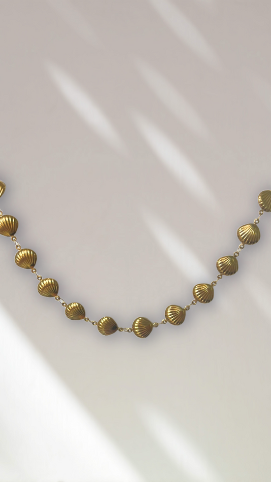 Collier coquillage